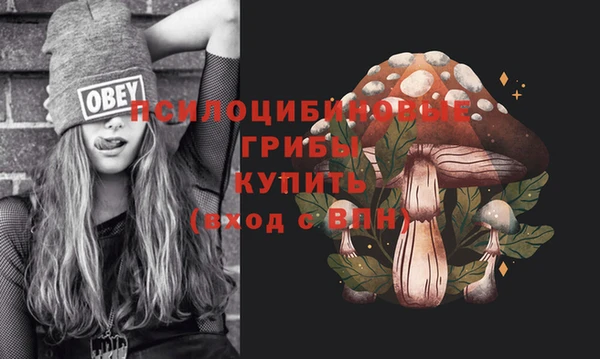 ПСИЛОЦИБИНОВЫЕ ГРИБЫ Алексеевка