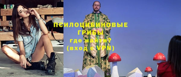 ПСИЛОЦИБИНОВЫЕ ГРИБЫ Алексеевка