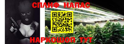 СК Канаш