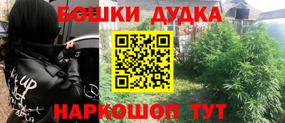 mdpv Кандалакша
