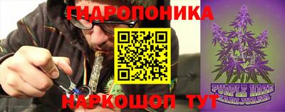 mdpv Кандалакша