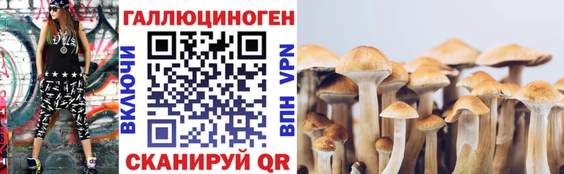 как найти   Георгиевск  Псилоцибиновые грибы мухоморы 
