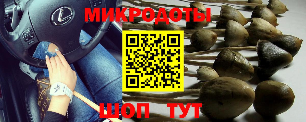 Псилоцибиновые грибы Magic Shrooms Георгиевск