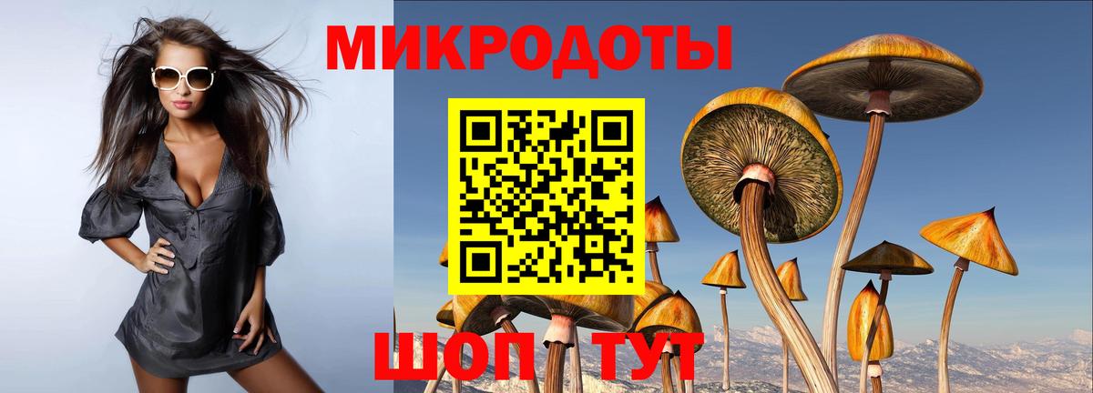 Георгиевск  Псилоцибиновые грибы Cubensis  Вход с VPN 